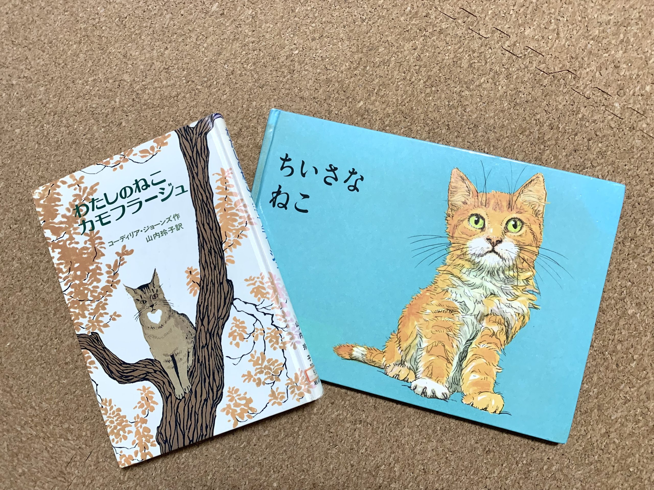 11/25（土）「三朝町将棋フェスティバル」