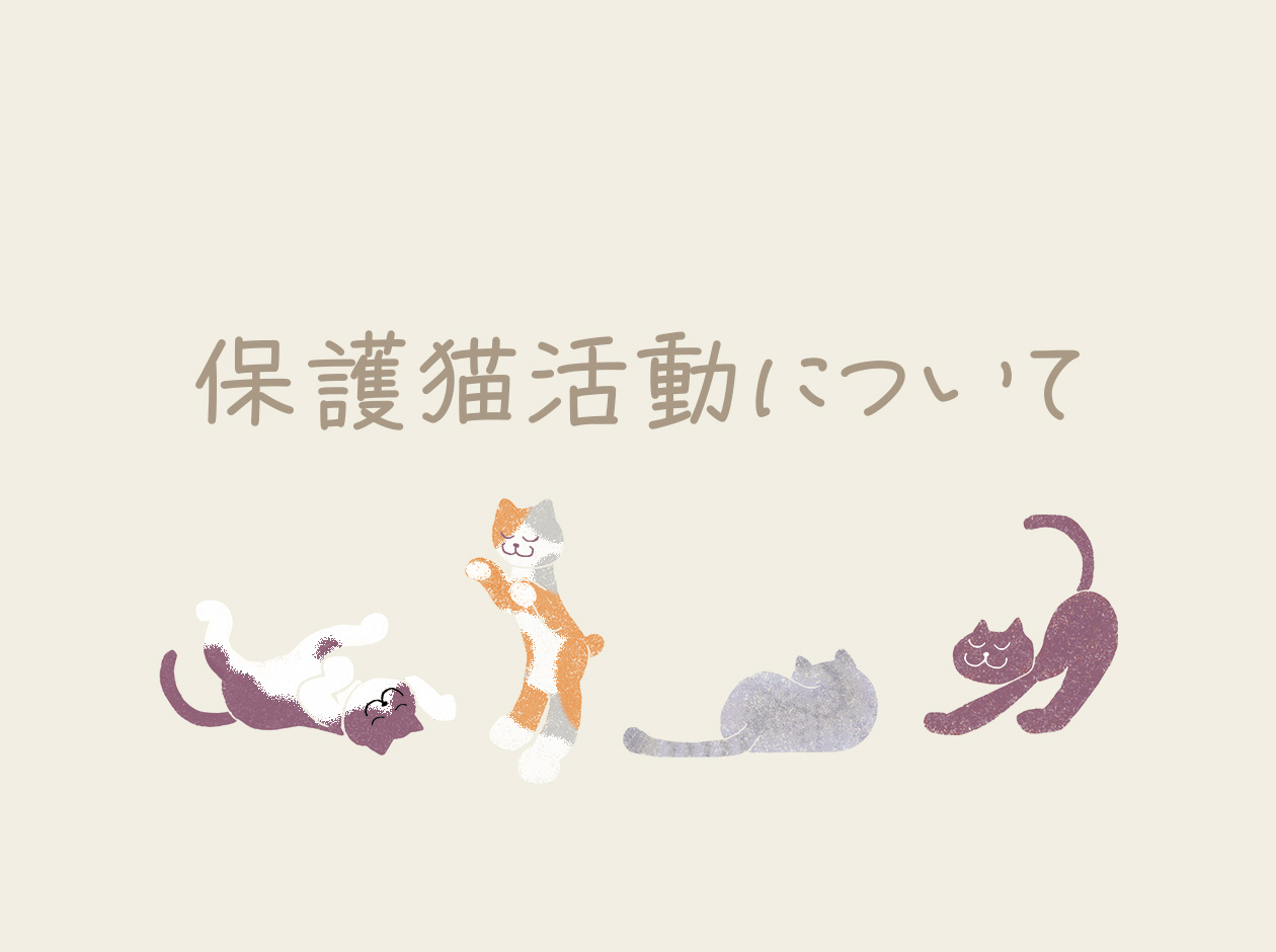 保護猫活動について