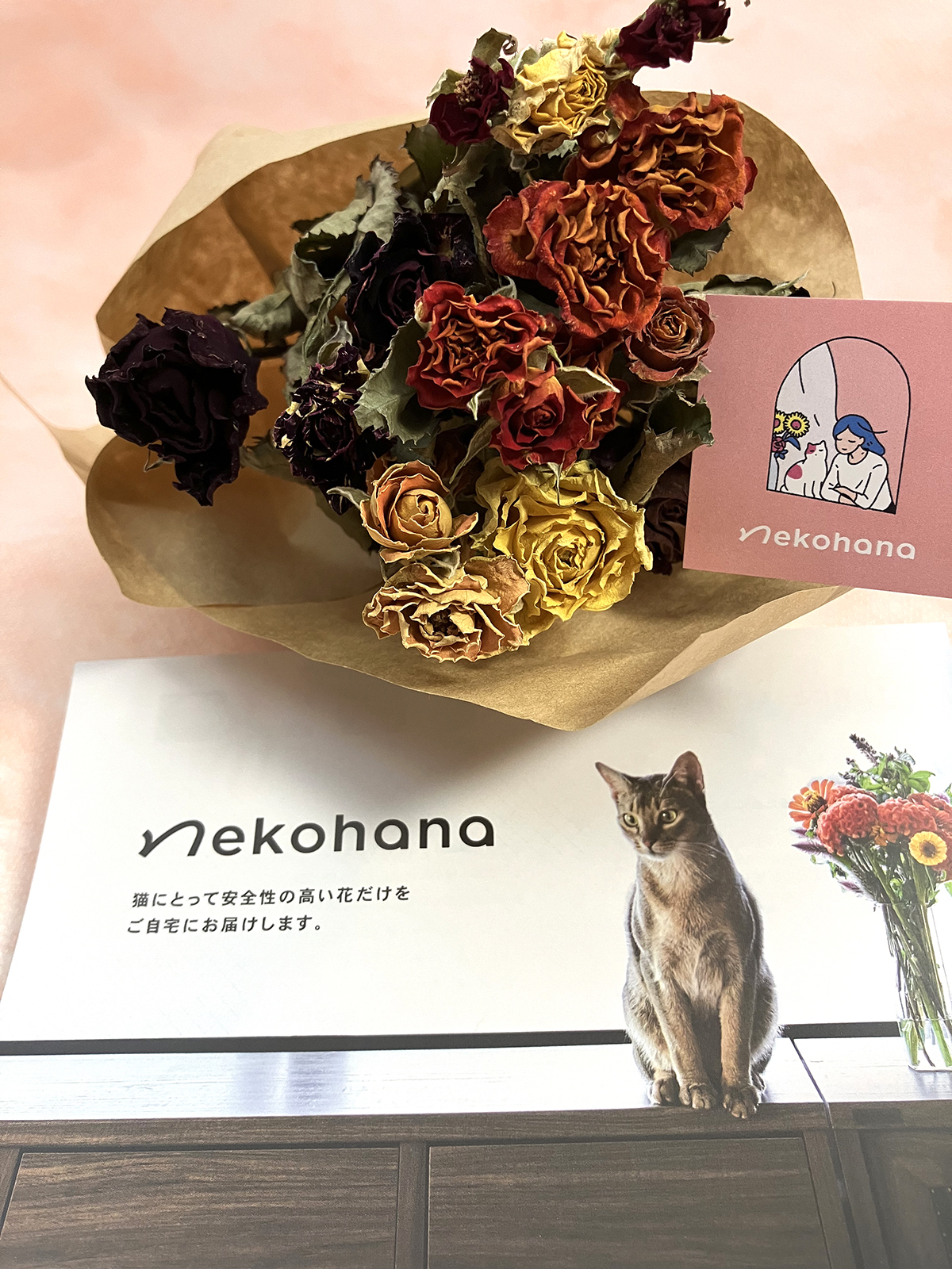 【新ギフト】猫と暮らす人に贈りたい にゃんもにゃにゃ+Nekohanaドライフラワーブーケ